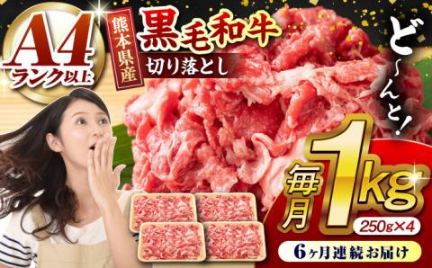 【6回定期便】熊本県産 黒毛和牛 切り落とし 計約1kg (約250g×4P) 小分け 国産 A4 A5 山鹿 【有限会社九州食肉産業】[ZDQ033]
