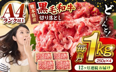 【12回定期便】熊本県産 黒毛和牛 切り落とし 計約1kg (約250g×4P)【有限会社九州食肉産業】 小分け 国産 A4 A5 山鹿 [ZDQ034]