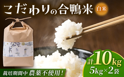 〈令和7年度新米〉 合鴨米 5kg×2 計10kg 【あいがもん倶楽部】 新米 令和7年産 [ZAR027]
