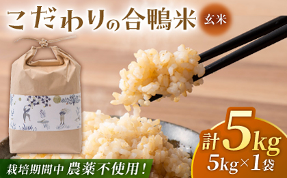 〈令和7年度新米〉 合鴨玄米 5kg 【あいがもん倶楽部】 新米 令和7年産 [ZAR028]