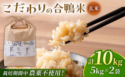 〈令和7年度新米〉 合鴨玄米 5kg×2 計10kg 【あいがもん倶楽部】 新米 令和7年産 [ZAR029]