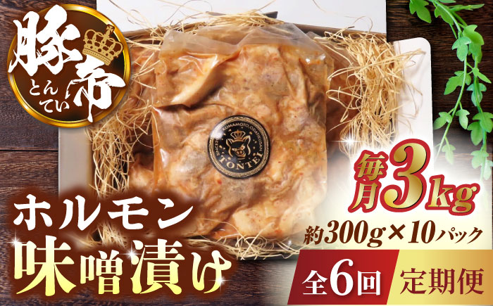 【6回定期便】豚帝  豚 ホルモン 味噌漬け 3kg (300g×10)【KRAZY MEAT(小田畜産)】 [ZCP122]