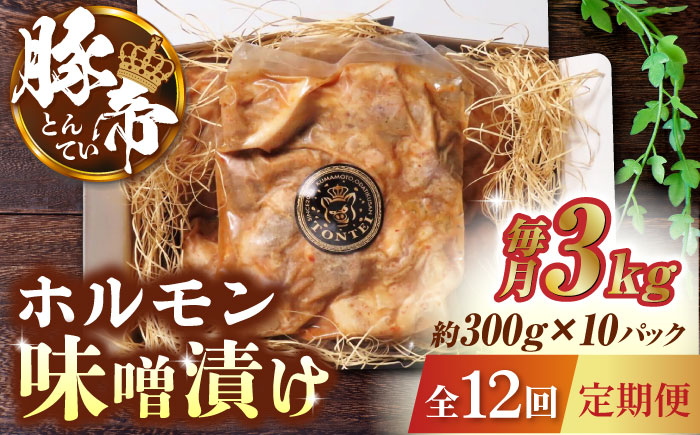 【12回定期便】豚帝  豚 ホルモン 味噌漬け 3kg (300g×10)【KRAZY MEAT(小田畜産)】 [ZCP133]
