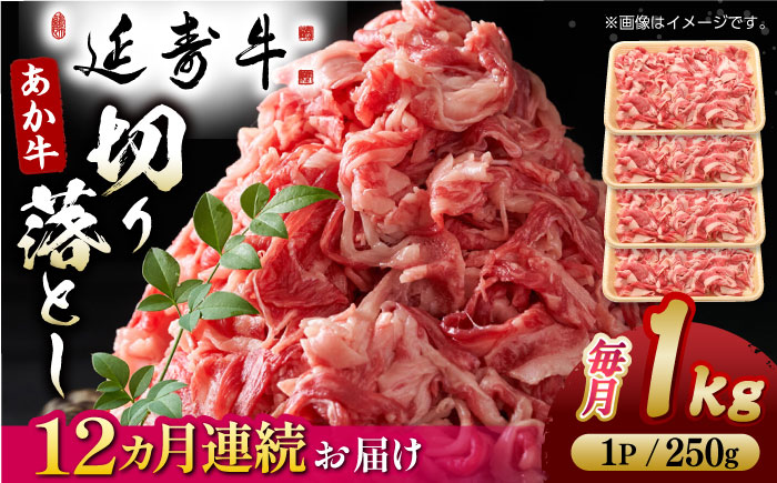 【12回定期便】熊本県産 延寿牛 あか牛 切り落とし 約 250g×4P【有限会社 九州食肉産業】 [ZDQ137]