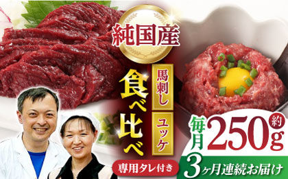 【3回定期便】 【純国産】熊本の味 「桜」 馬刺し 晩酌セット (赤身・ユッケ) 約250g タレ付【有限会社 九州食肉産業】 [ZDQ144]