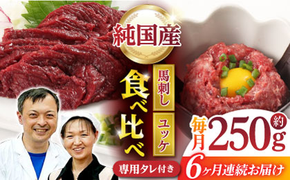 【6回定期便】 【純国産】熊本の味 「桜」 馬刺し 晩酌セット (赤身・ユッケ) 約250g タレ付【有限会社 九州食肉産業】 [ZDQ145]