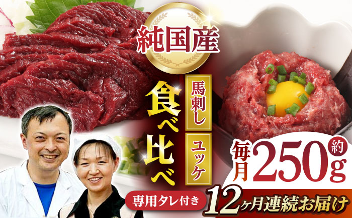 【12回定期便】 【純国産】熊本の味 「桜」 馬刺し 晩酌セット (赤身・ユッケ) 約250g タレ付【有限会社 九州食肉産業】 [ZDQ146]