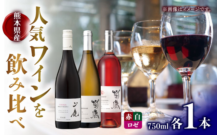 菊鹿シャルドネ&菊鹿カベルネクレーレ2023&山鹿マスカットベーリーA2024 ワイン3本セット 化粧箱付【菊鹿ワイナリー】 [ZFB007]