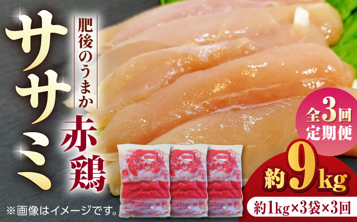 【3回定期便】肥後のうまか 赤鶏  ササミ 約3kg【やまうちフード株式会社 熊本営業所】 国産 九州産  鳥 ヘルシー 肉  [ZAB009]