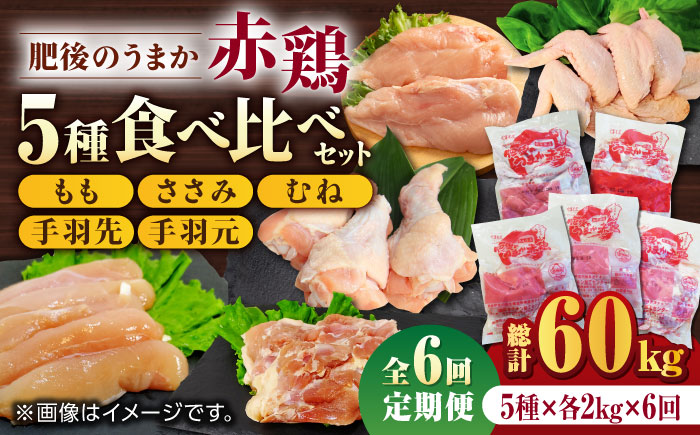 【6回定期便】肥後のうまか 赤鶏  5種食べ比べセット（モモ ささみ ムネ 手羽先 手羽元）各2kg【やまうちフード株式会社 熊本営業所】 国産 九州産  鳥 セット 肉  [ZAB013]