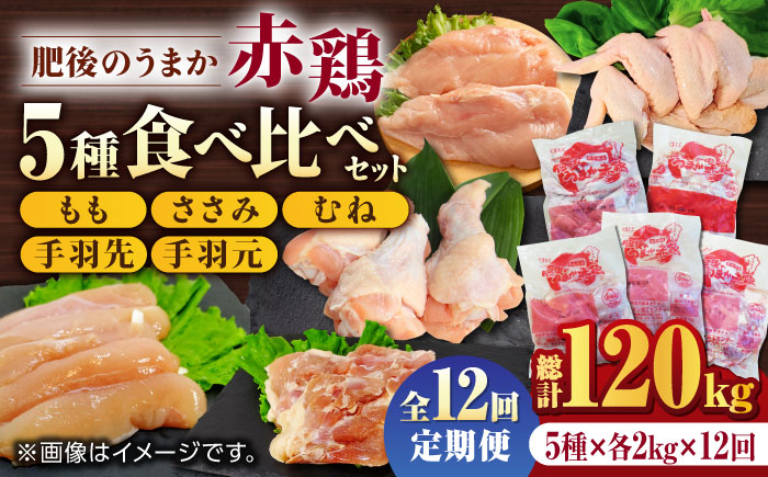 【12回定期便】肥後のうまか 赤鶏  5種食べ比べセット（モモ ささみ ムネ 手羽先 手羽元）各2kg【やまうちフード株式会社 熊本営業所】  国産 九州産  鳥 セット 肉 [ZAB014]