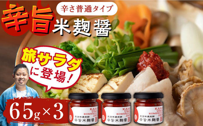 辛旨 米麹 醤シリーズ 〈辛さ普通タイプ〉（65g×3）【有限会社 木屋食品工業】 [ZAD022]