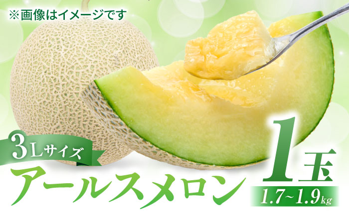 【先行予約】アールスメロン 約1.7kg～1.9kg （3Lサイズ1玉入り）【鹿本農業協同組合】 [ZAG004]