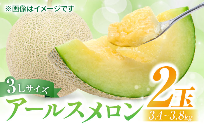 【先行予約】アールスメロン 約3.4kg～3.8kg （3Lサイズ2玉入り）【鹿本農業協同組合】 [ZAG005]