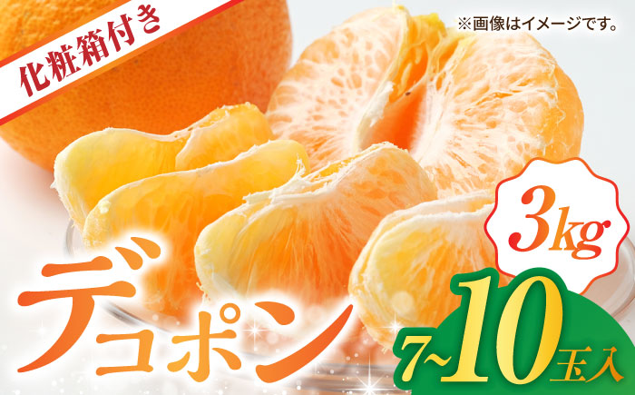 【先行予約】デコポン 約3kg （7～10玉）化粧箱入り【鹿本農業協同組合】 [ZAG006]