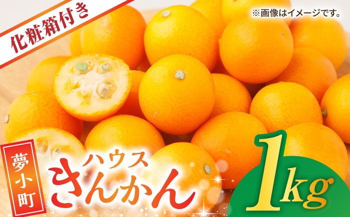 【先行予約】 ハウスきんかん 夢小町 約1kg 化粧箱 入り【鹿本農業協同組合】 [ZAG008]