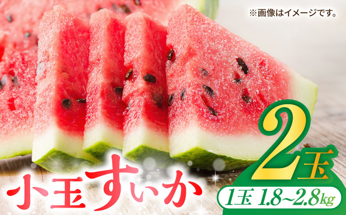小玉 すいか 2玉入（1玉 約1.8kg～2.8kg）【鹿本農業協同組合】 [ZAG009]