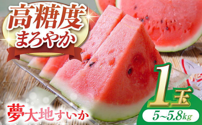 夢大地かもと すいか 1玉 Ｍサイズ（約5～5.8kg）【鹿本農業協同組合】 [ZAG010]