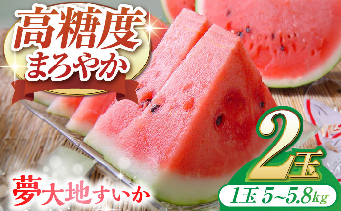 夢大地かもと すいか 2玉 Ｍサイズ（1玉 約5kg～5.8kg）【鹿本農業協同組合】 [ZAG011]