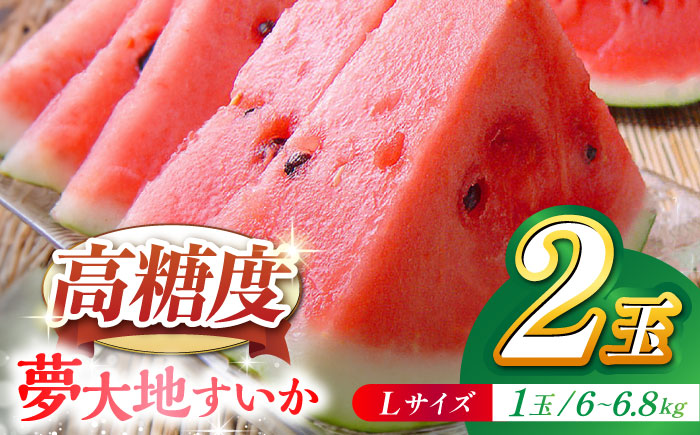 夢大地かもと すいか 2玉 Ｌサイズ（1玉 約6kg～6.8kg）【鹿本農業協同組合】 [ZAG012]