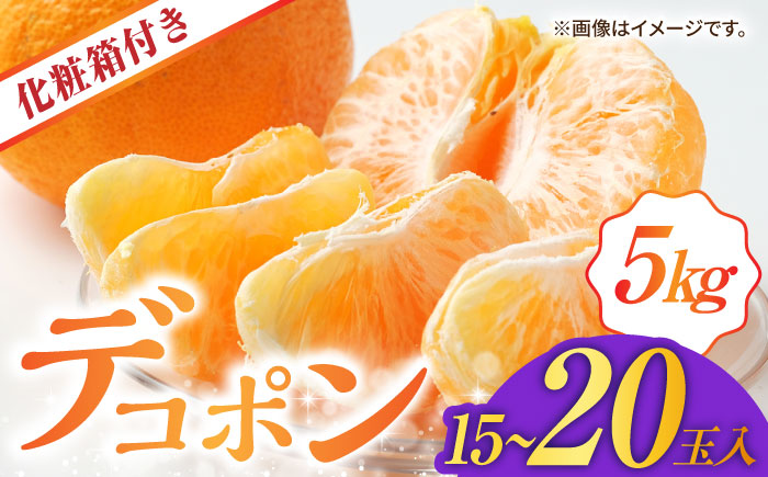 【先行予約】デコポン 約5kg （15～20玉）化粧箱入り【鹿本農業協同組合】 [ZAG015]
