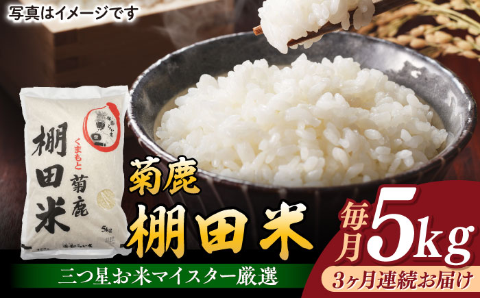 【3回定期便】菊鹿 棚田米 5kg【ミヤタ 株式会社 】  米 こめ お米 ご飯 精米 熊本県産 山鹿市 [ZAH006]