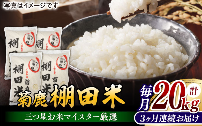 【3回定期便】 菊鹿 棚田米 20kg 【ミヤタ 株式会社 】   米 こめ お米 ご飯 精米 熊本県産 山鹿市  [ZAH012]