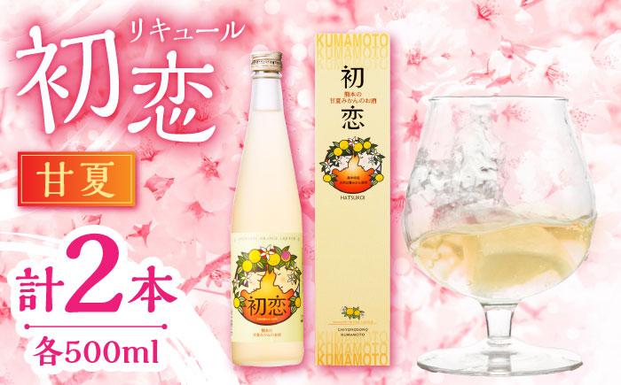 甘夏 リキュール 初恋 500ml 2本セット 【千代の園酒造 株式会社 】 [ZAI044]
