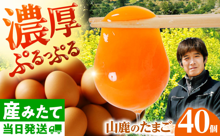 たまご 40個 約2.5kg【マツヤマエッグファーム】 [ZAW004]