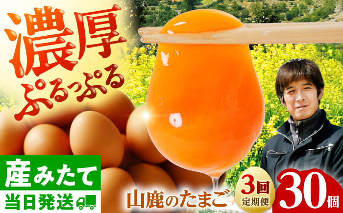 【全3回定期便】 たまご 30個 約2kg【マツヤマエッグファーム】 [ZAW006]