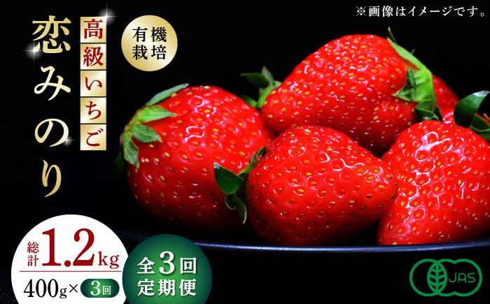【先行予約】【3回定期便】高級 いちご 恋みのり  約400g（200g×2pc）【伊藤農園】 果物 フルーツ イチゴ いちご 苺 定期便 [ZBB008]