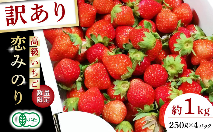 【訳あり】【先行予約】高級 いちご 恋みのり 約1000g【伊藤農園】 果物 フルーツ イチゴ いちご 苺  [ZBB011]