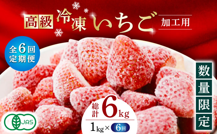 【6回定期便】高級 冷凍  いちご 加工用 約1kg（約500g×2袋）【伊藤農園】 恋みのり 冷凍 いちご 冷凍いちご  [ZBB016]
