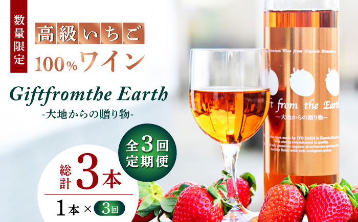 【3回定期便】高級 いちご 100％ワイン Giftfromthe Earth -大地からの贈り物- オーガニック【伊藤農園】  オーガニック 有機 お酒 ワイン  [ZBB018]