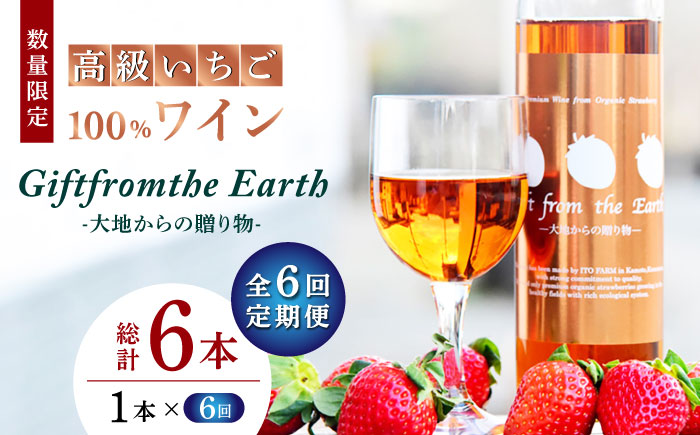 【6回定期便】高級 いちご 100％ワイン Giftfromthe Earth -大地からの贈り物- オーガニック【伊藤農園】 有機 お酒 ワイン オーガニックワイン 酒 [ZBB019]