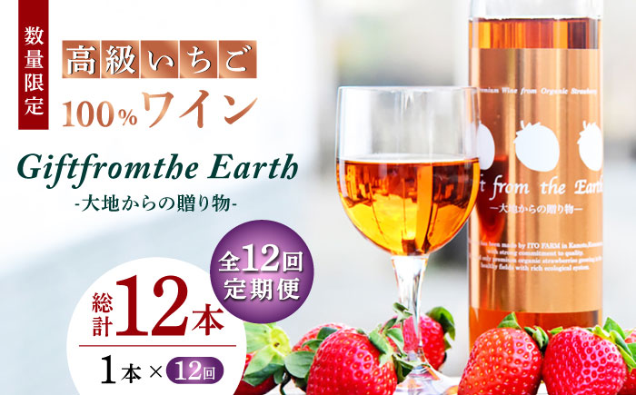【12回定期便】高級 いちご 100％ワイン Giftfromthe Earth -大地からの贈り物- オーガニック【伊藤農園】 有機 お酒 ワイン オーガニックワイン  [ZBB020]