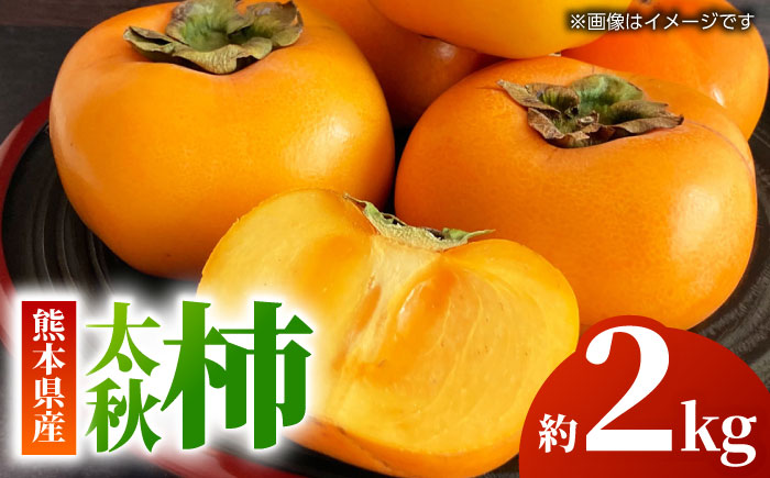 【先行予約】太秋 柿 約2kg【くまふる】 [ZBG015]