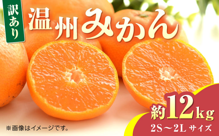 【先行予約】温州みかん約12kg　2S～2Lサイズ　【くまふる】 [ZBG048]