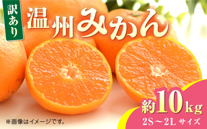 【先行予約】温州みかん約10kg　2S～2Lサイズ　【くまふる】 [ZBG049]
