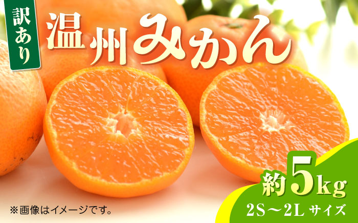 【先行予約】温州みかん約5kg　2S～2Lサイズ　【くまふる】 [ZBG051]