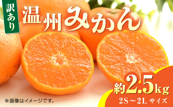 【先行予約】温州みかん約2.5kg　2S～2Lサイズ　【くまふる】 [ZBG052]