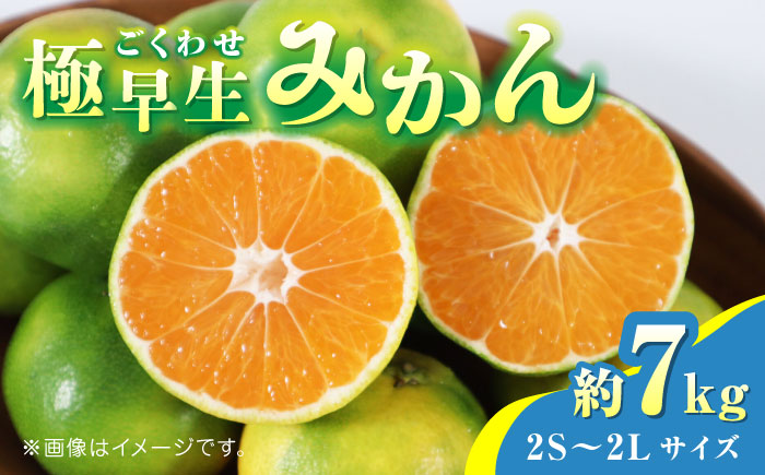 【先行予約】極早生みかん 約7kg　2S～2Lサイズ　【くまふる】 [ZBG055]