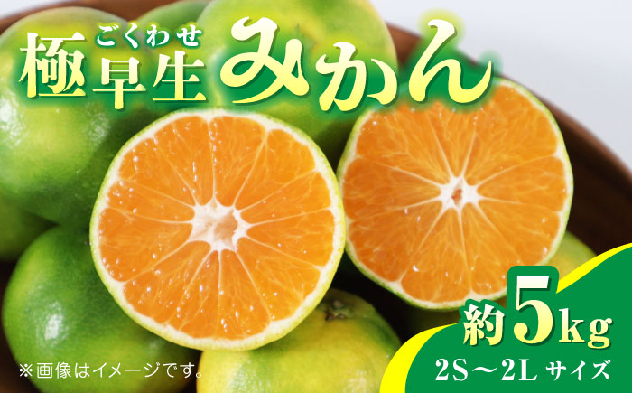 【先行予約】極早生みかん 約5kg　2S～2Lサイズ　【くまふる】 [ZBG057]