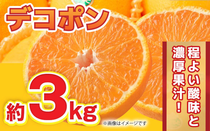 【先行予約】デコポン 約3kg 6玉～12玉 【くまふる】 [ZBG058]