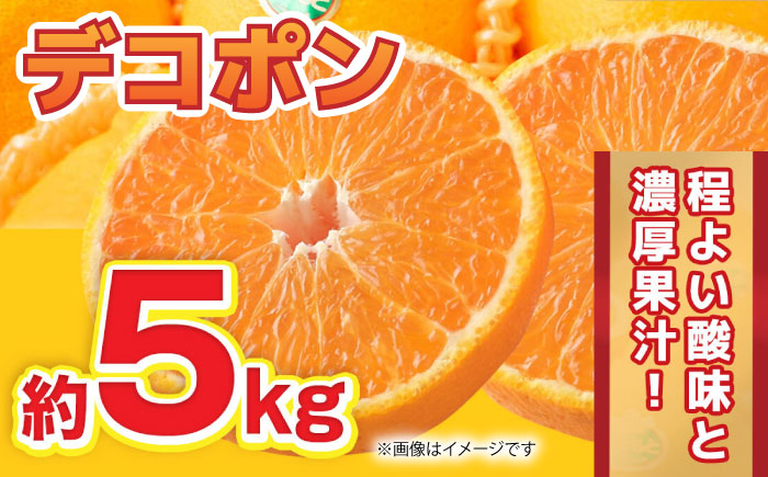 【先行予約】デコポン 約5kg 12玉～20玉 【くまふる】 [ZBG059]