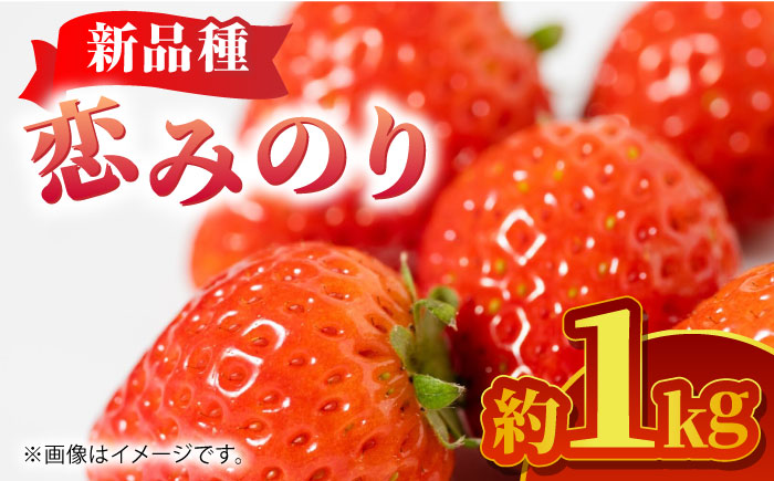 【先行予約】恋みのり 約1kg【くまふる】 [ZBG062]