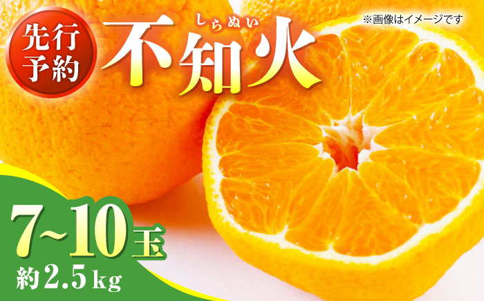 【先行予約】不知火 約2.5kg 【くまふる】 [ZBG065]