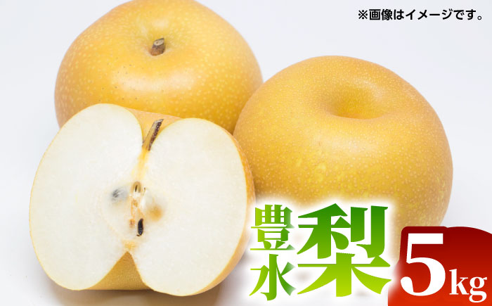 【先行予約】豊水 梨 約5kg（9～22玉）【くまふる】 [ZBG066]
