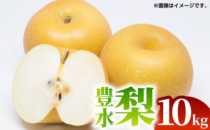 【先行予約】豊水 梨 約10kg（20～40玉）【くまふる】 [ZBG067]