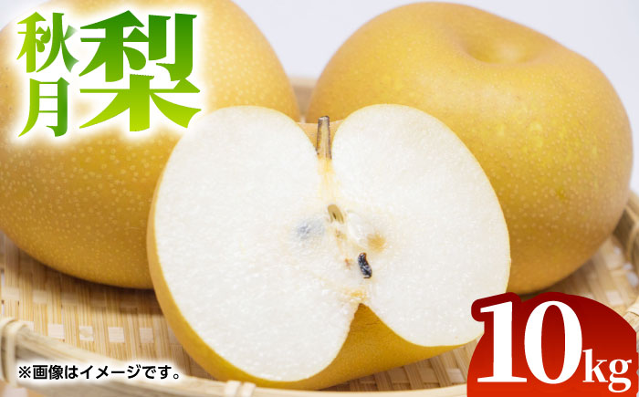 【先行予約】秋月 梨 約10kg（18～36玉）【くまふる】 [ZBG069]